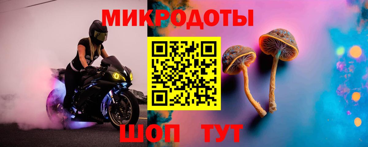 Новосибирск  Галлюциногенные грибы GOLDEN TEACHER  Вход с VPN 